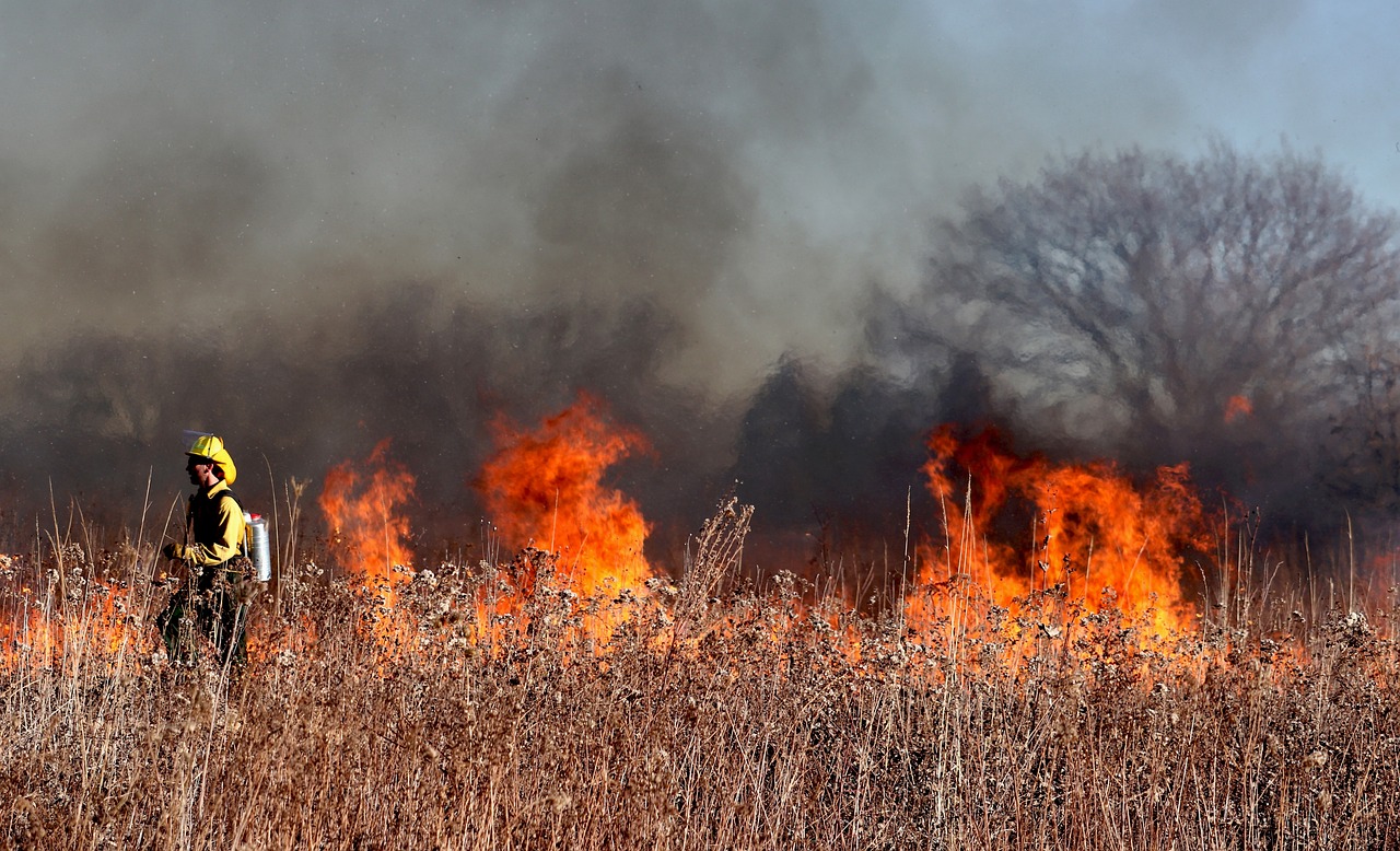 Attivata la fase di attenzione per il rischio di incendi boschivi